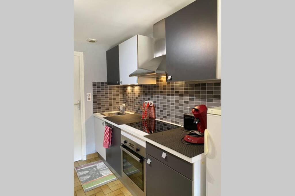Apartamento T2 ensoleillé. Terrasse et vaste jardin commun Cauterets Exterior foto